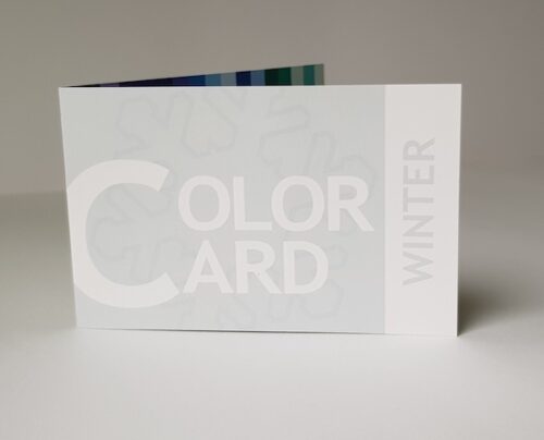 Color Card - Winter